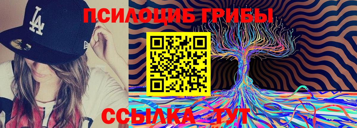 Галлюциногенные грибы Magic Shrooms Щёлково